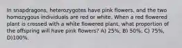 In snapdragons, heterozygotes have pink flowers, and the two homozygous individuals are red or white. When a red flowered plant is crossed with a white flowered plant, what proportion of the offspring will have pink flowers? A) 25%, B) 50%, C) 75%, D)100%.