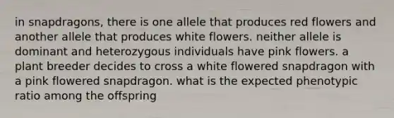 in snapdragons, there is one allele that produces red flowers and another allele that produces white flowers. neither allele is dominant and heterozygous individuals have pink flowers. a plant breeder decides to cross a white flowered snapdragon with a pink flowered snapdragon. what is the expected phenotypic ratio among the offspring