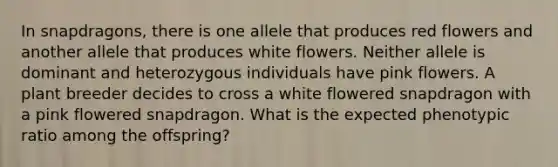 In snapdragons, there is one allele that produces red flowers and another allele that produces white flowers. Neither allele is dominant and heterozygous individuals have pink flowers. A plant breeder decides to cross a white flowered snapdragon with a pink flowered snapdragon. What is the expected phenotypic ratio among the offspring?