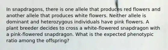 In snapdragons, there is one allele that produces red flowers and another allele that produces white flowers. Neither allele is dominant and heterozygous individuals have pink flowers. A plant breeder decides to cross a white-flowered snapdragon with a pink-flowered snapdragon. What is the expected phenotypic ratio among the offspring?