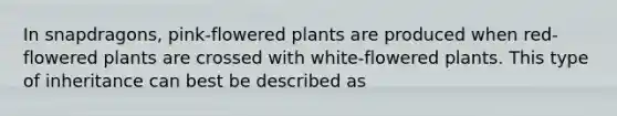 In snapdragons, pink-flowered plants are produced when red-flowered plants are crossed with white-flowered plants. This type of inheritance can best be described as