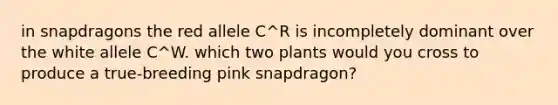 in snapdragons the red allele C^R is incompletely dominant over the white allele C^W. which two plants would you cross to produce a true-breeding pink snapdragon?