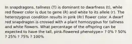 In snapdragons, tallness (T) is dominant to dwarfness (t), while red flower color is due to gene (R) and white to its allele (r). The heterozygous condition results in pink (Rr) flower color. A dwarf red snapdragon is crossed with a plant homozygous for tallness and white flowers. What percentage of the offspring can be expected to have the tall, pink-flowered phenotype> ? 0% ? 50% ? 25% ? 75% ? 100%