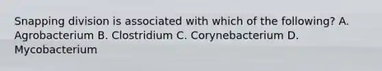 Snapping division is associated with which of the following? A. Agrobacterium B. Clostridium C. Corynebacterium D. Mycobacterium