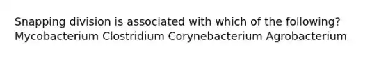 Snapping division is associated with which of the following? Mycobacterium Clostridium Corynebacterium Agrobacterium