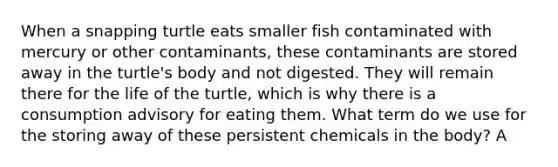 When a snapping turtle eats smaller fish contaminated with mercury or other contaminants, these contaminants are stored away in the turtle's body and not digested. They will remain there for the life of the turtle, which is why there is a consumption advisory for eating them. What term do we use for the storing away of these persistent chemicals in the body? A