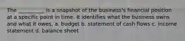 The __________ is a snapshot of the business's financial position at a specific point in time. It identifies what the business owns and what it owes. a. budget b. statement of cash flows c. income statement d. balance sheet