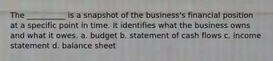 The __________ is a snapshot of the business's financial position at a specific point in time. It identifies what the business owns and what it owes. a. budget b. statement of cash flows c. income statement d. balance sheet