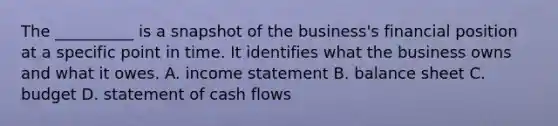 The __________ is a snapshot of the business's financial position at a specific point in time. It identifies what the business owns and what it owes. A. income statement B. balance sheet C. budget D. statement of cash flows