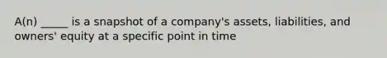 A(n) _____ is a snapshot of a​ company's assets,​ liabilities, and​ owners' equity at a specific point in time