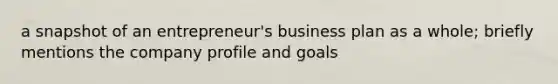 a snapshot of an entrepreneur's business plan as a whole; briefly mentions the company profile and goals