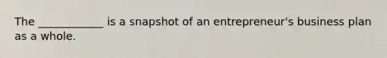The ____________ is a snapshot of an entrepreneur's business plan as a whole.