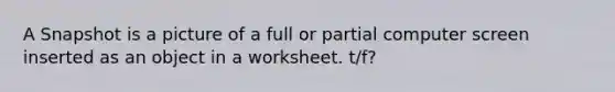 A Snapshot is a picture of a full or partial computer screen inserted as an object in a worksheet. t/f?