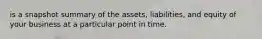 is a snapshot summary of the assets, liabilities, and equity of your business at a particular point in time.