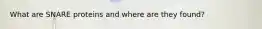 What are SNARE proteins and where are they found?