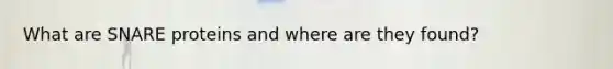 What are SNARE proteins and where are they found?