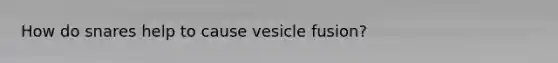 How do snares help to cause vesicle fusion?