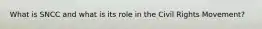 What is SNCC and what is its role in the Civil Rights Movement?