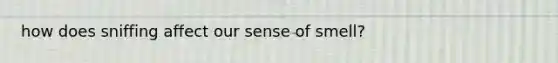 how does sniffing affect our sense of smell?