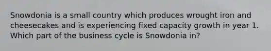 Snowdonia is a small country which produces wrought iron and cheesecakes and is experiencing fixed capacity growth in year 1. Which part of the business cycle is Snowdonia in?