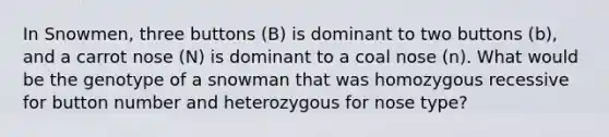 In Snowmen, three buttons (B) is dominant to two buttons (b), and a carrot nose (N) is dominant to a coal nose (n). What would be the genotype of a snowman that was homozygous recessive for button number and heterozygous for nose type?