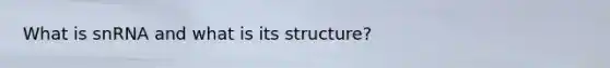 What is snRNA and what is its structure?