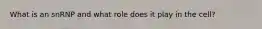 What is an snRNP and what role does it play in the cell?