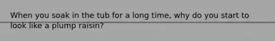 When you soak in the tub for a long time, why do you start to look like a plump raisin?