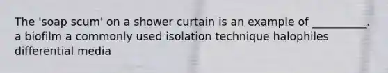 The 'soap scum' on a shower curtain is an example of __________. a biofilm a commonly used isolation technique halophiles differential media