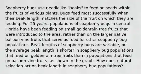 Soapberry bugs use needlelike "beaks" to feed on seeds within the fruits of various plants. Bugs feed most successfully when their beak length matches the size of the fruit on which they are feeding. For 25 years, populations of soapberry bugs in central Florida have been feeding on small goldenrain tree fruits that were introduced to the area, rather than on the larger native balloon vine fruits that serve as food for other soapberry bug populations. Beak lengths of soapberry bugs are variable, but the average beak length is shorter in soapberry bug populations that feed on goldenrain tree fruits than in populations that feed on balloon vine fruits, as shown in the graph. How does natural selection act on beak length in soapberry bug populations?