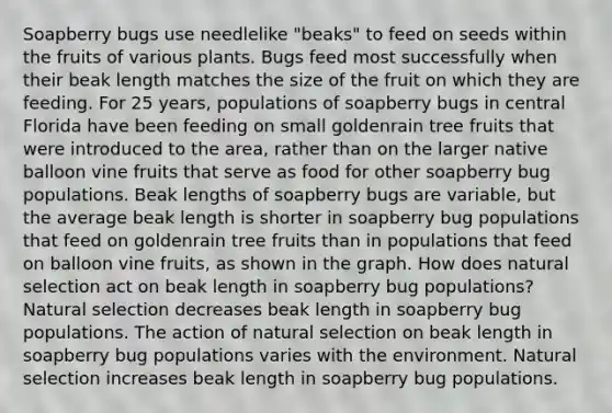 Soapberry bugs use needlelike "beaks" to feed on seeds within the fruits of various plants. Bugs feed most successfully when their beak length matches the size of the fruit on which they are feeding. For 25 years, populations of soapberry bugs in central Florida have been feeding on small goldenrain tree fruits that were introduced to the area, rather than on the larger native balloon vine fruits that serve as food for other soapberry bug populations. Beak lengths of soapberry bugs are variable, but the average beak length is shorter in soapberry bug populations that feed on goldenrain tree fruits than in populations that feed on balloon vine fruits, as shown in the graph. How does natural selection act on beak length in soapberry bug populations? Natural selection decreases beak length in soapberry bug populations. The action of natural selection on beak length in soapberry bug populations varies with the environment. Natural selection increases beak length in soapberry bug populations.