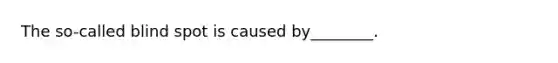 The so-called blind spot is caused by________.