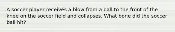 A soccer player receives a blow from a ball to the front of the knee on the soccer field and collapses. What bone did the soccer ball hit?