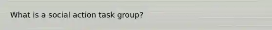 What is a social action task group?