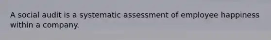 A social audit is a systematic assessment of employee happiness within a company.