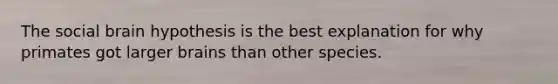 The social brain hypothesis is the best explanation for why primates got larger brains than other species.