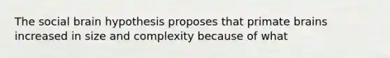 The social brain hypothesis proposes that primate brains increased in size and complexity because of what