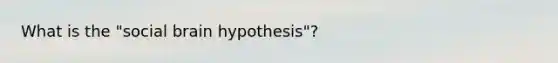 What is the "social brain hypothesis"?