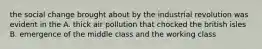 the social change brought about by the industrial revolution was evident in the A. thick air pollution that chocked the british isles B. emergence of the middle class and the working class