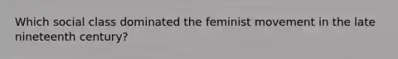 Which social class dominated the feminist movement in the late nineteenth century?