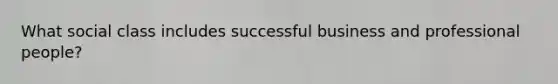 What social class includes successful business and professional people?