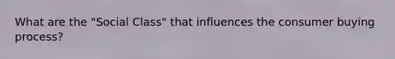 What are the "Social Class" that influences the consumer buying process?