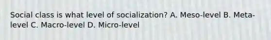 Social class is what level of socialization? A. Meso-level B. Meta-level C. Macro-level D. Micro-level