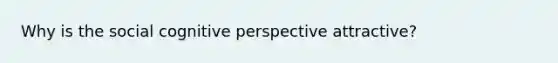 Why is the social cognitive perspective attractive?