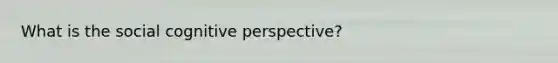 What is the social cognitive perspective?