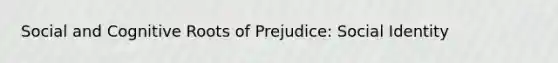 Social and Cognitive Roots of Prejudice: Social Identity