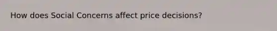 How does Social Concerns affect price decisions?