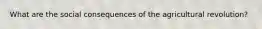 What are the social consequences of the agricultural revolution?