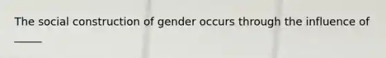 The social construction of gender occurs through the influence of _____