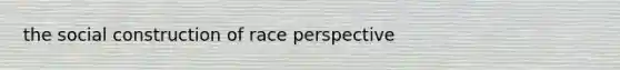 the social construction of race perspective